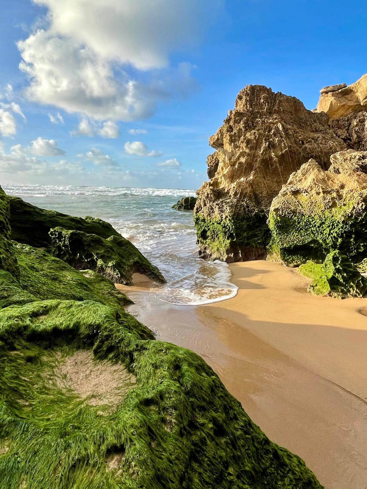 California Dream Inn Aljezur Εξωτερικό φωτογραφία